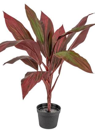 Kunstplant rode cycas 70cm