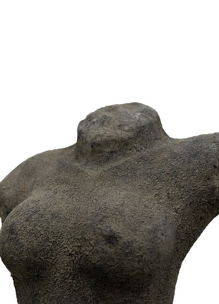 Torso Vrouw S