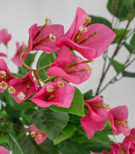 Fake plant