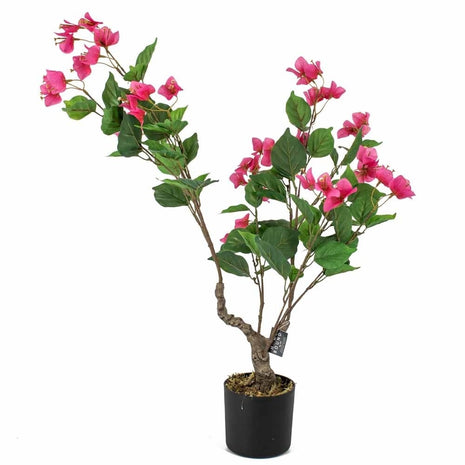 Fake plant