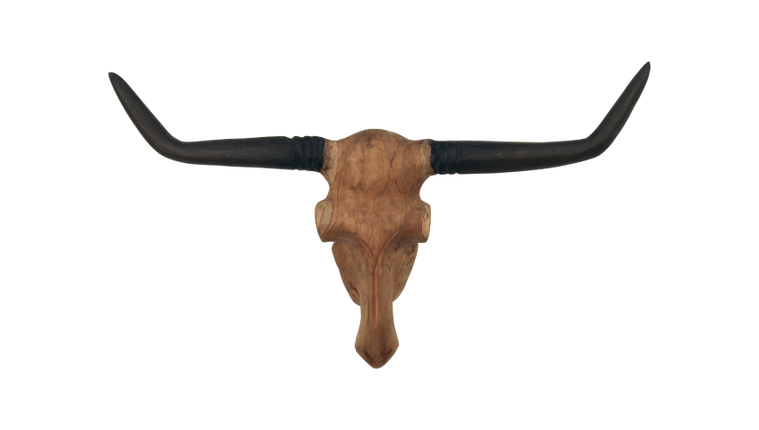 Skull hout