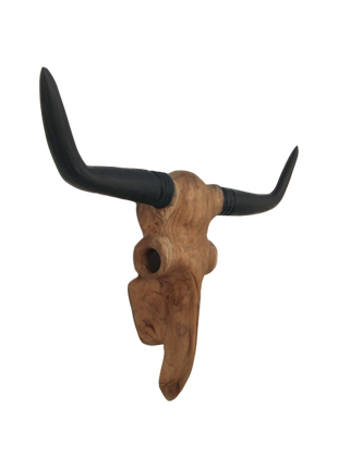 Skull hout