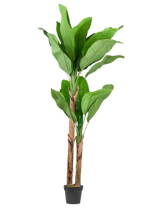 Kunstplant bananenboom 180cm