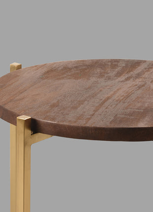 Bijzettafel Dox - Goud - Mangohout - Goud Onderstel