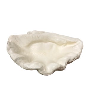 Bowl shell big 30x25H15cm (80713)