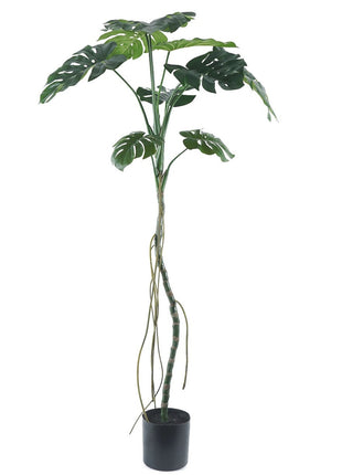 Kunstplant Monstera op stam 180cm