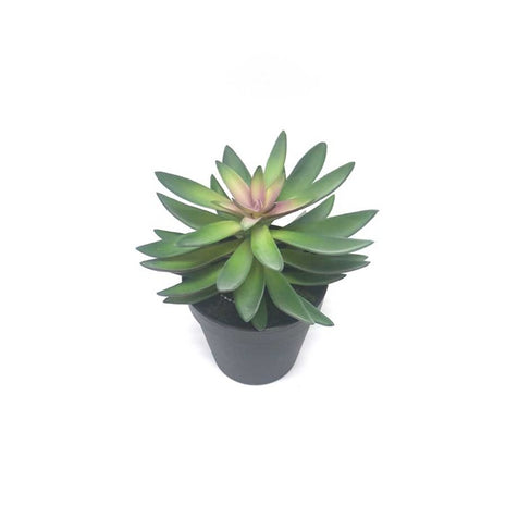 Fake plant