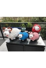schaap klein