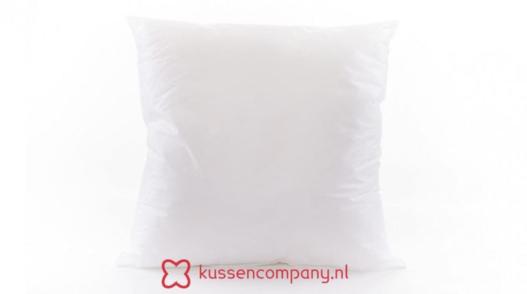 Binnenkussen van Kussencompany voor de hoes 45 x 45
