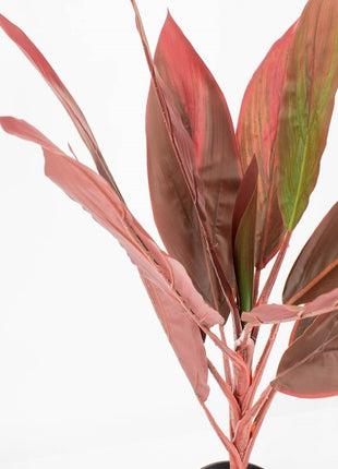 Kunstplant rode cycas 70cm