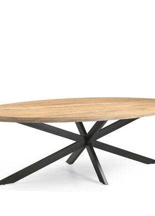 Eetkamertafel Ellips 25+25 220