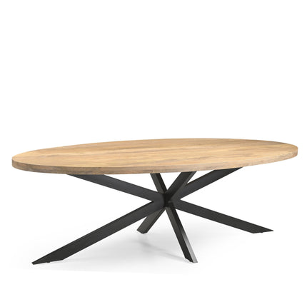 Eetkamertafel Ellips 25+25 220