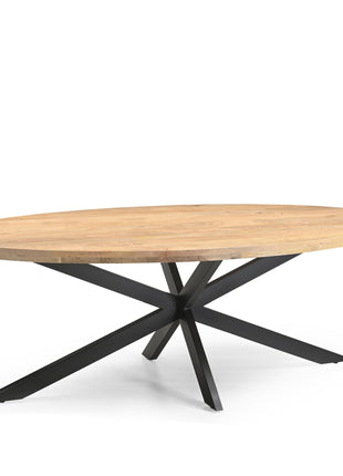 Eetkamertafel Ellips 25+25 240