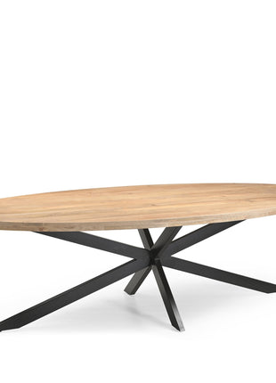 Eetkamertafel Ellips 25+25 270