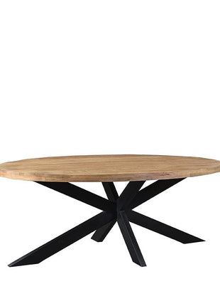 Eetkamertafel Zip - Rough - Mangohout - Ovaal - 210x100 cm