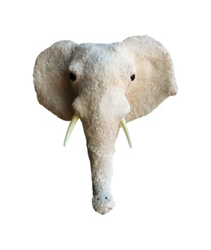 Elephant head L H47