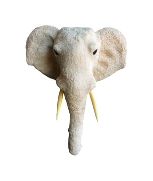 Elephant head XL H68