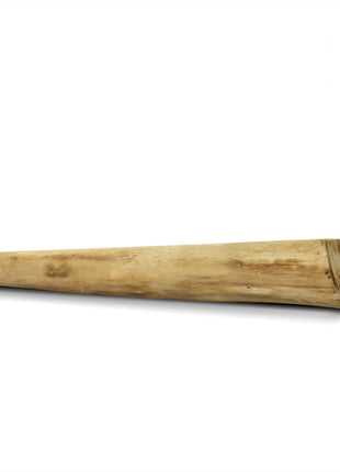 Wandplank Boomstam Teak