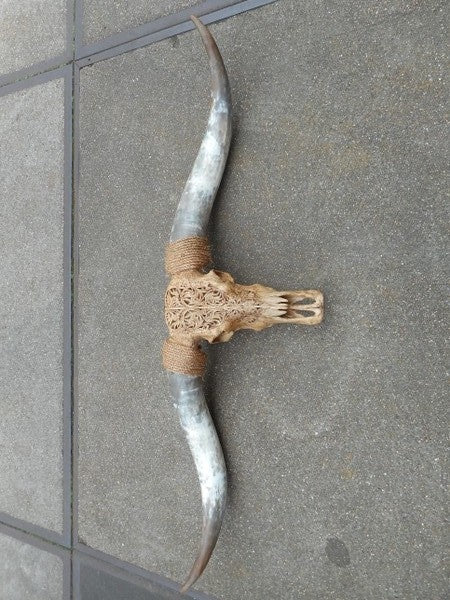 Longhoorn gegraveerd medium bruin