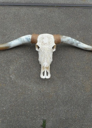 Longhoorn gegraveerd echt  Medium