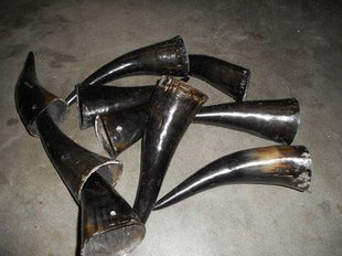 Losse koehoorns