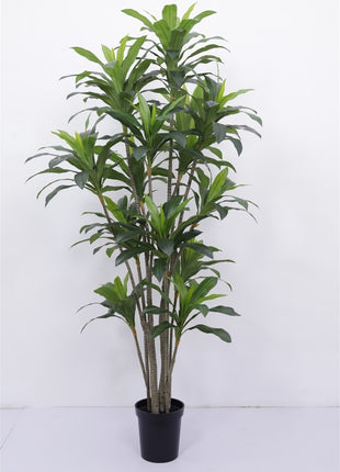 Kunstboom Dracaena real touch 250cm