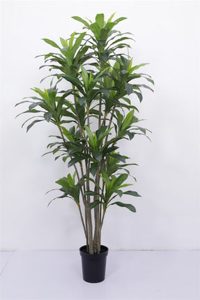 Kunstboom Dracaena real touch 250cm