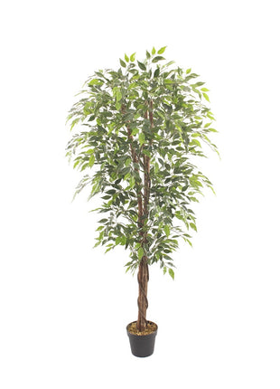 Kunstboom Fica ficus 10cm