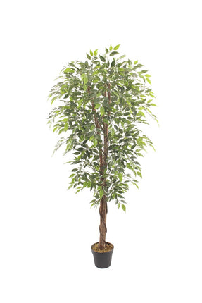 Kunstboom Fica ficus 10cm