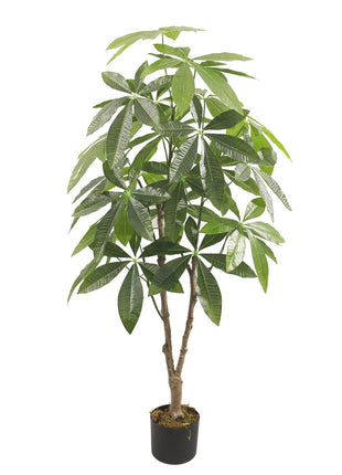Kunstboom Fortune geluksplant 125cm