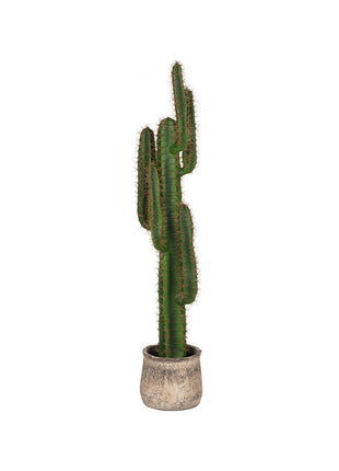 Cactus - Groen - Kunststof - 130 cm
