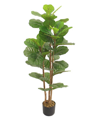 Kunstplant Fiddle ficus lyrata 120cm