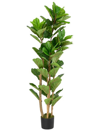 Kunstplant Fiddle ficus lyrata 150cm