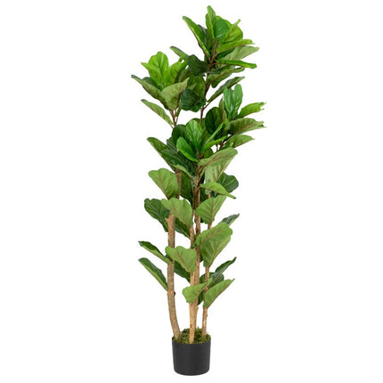 Kunstplant Fiddle ficus lyrata 150cm