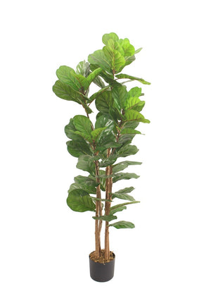 Kunstplant Fiddle ficus lyrata 180cm