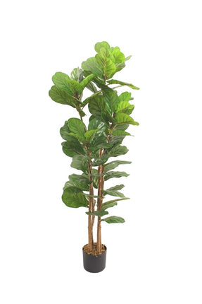 Kunstplant Fiddle ficus lyrata 180cm