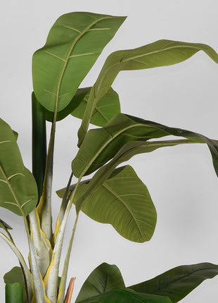 LABEL51 Musa - Groen - Kunststof - 180 cm
