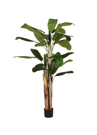LABEL51 Musa - Groen - Kunststof - 180 cm