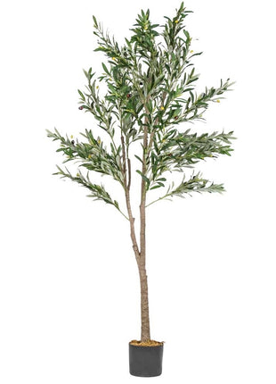 Kunstplant olijfboom 180cm grove stam