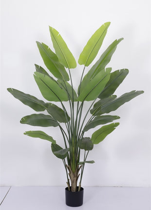 Kunstplant Strelitzia 230cm
