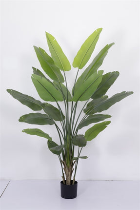 Kunstplant Strelitzia 230cm