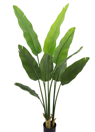 Kunstplant Strelitzia real touch 180cm