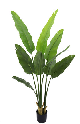 Kunstplant Strelitzia real touch 180cm