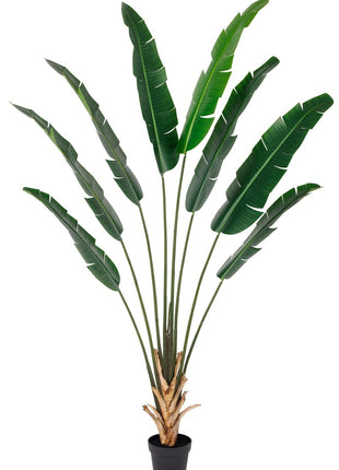 Kunstplant Strelitzia real touch 215cm