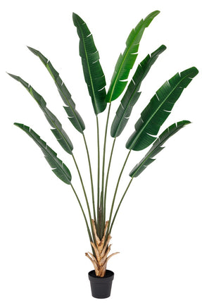 Kunstplant Strelitzia real touch 215cm