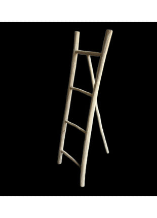 Ladder rack