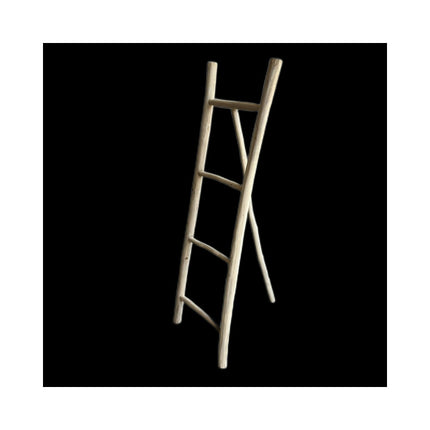 Ladder rack