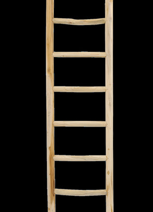 Ladder Rond Barney