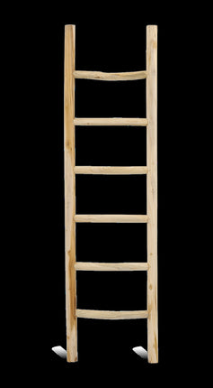 Ladder Rond Barney