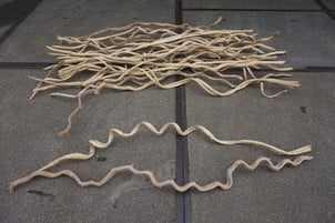 Liaan houten tak 2 meter